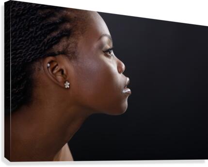 Profile II Canvas Print