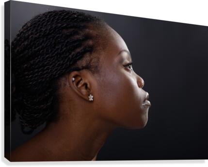 Profile III Canvas Print