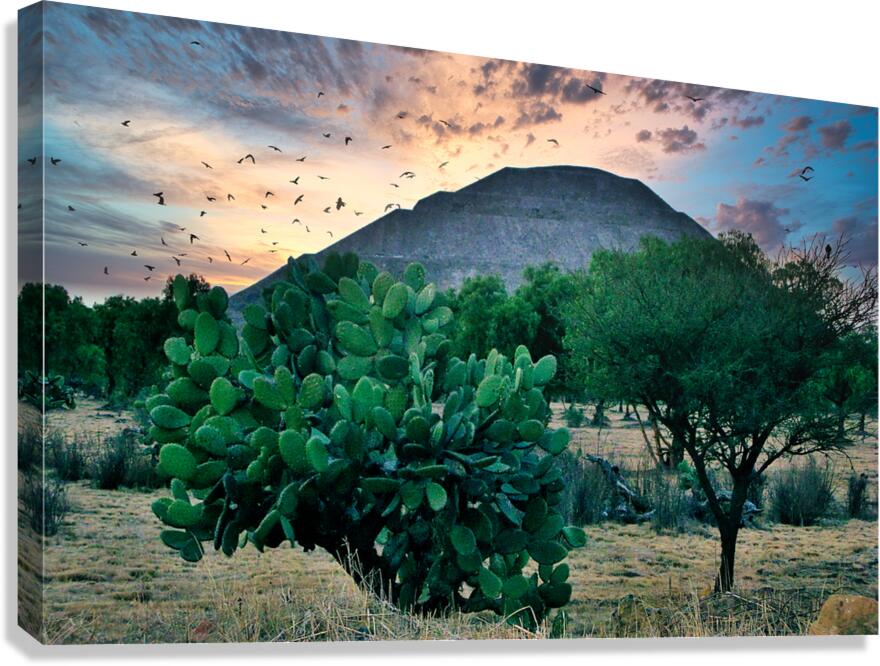 Mayan TEmple Canvas Print