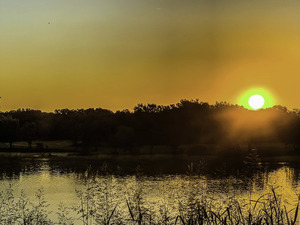 Lake Sunrise In Orange