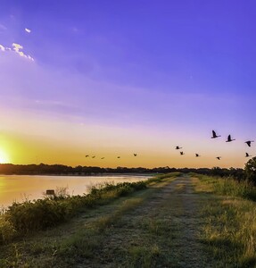 Peaceful Sunrise