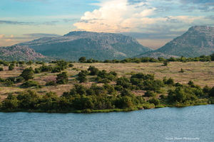 Lake Jed Johnson Series -1