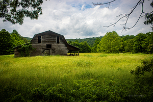 The Barn