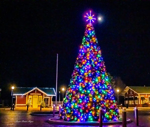 Christmas In The Valley 2-Tree