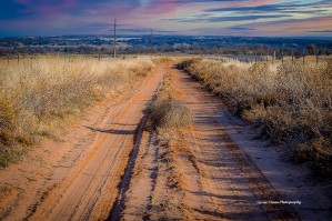 Tumbleweed
