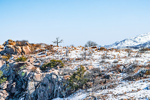 The Orchestrator And His Orchestra