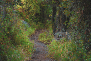 Pathway Series - 6  French Lake