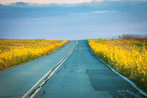 Road To Nowhere