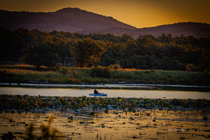 Early Morning Fishing