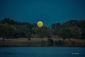 Once In A Blue Moon