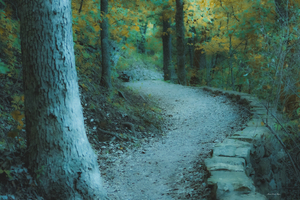 Pathway Series-3 Sulphur Park