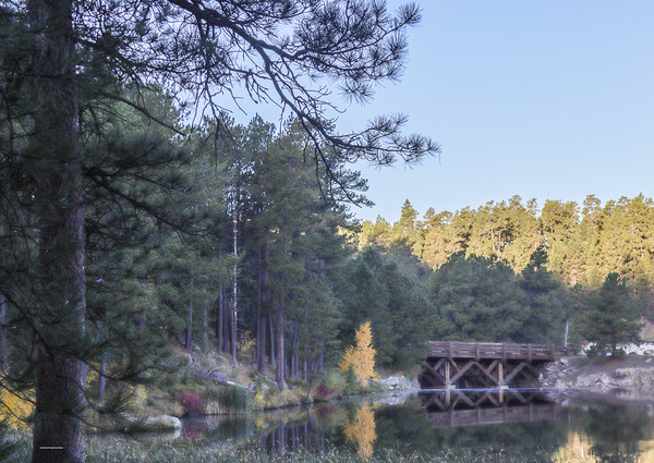 Morning Reflections by Susan Diann Photography