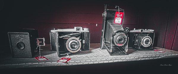 Picture The Past by Susan Diann Photography