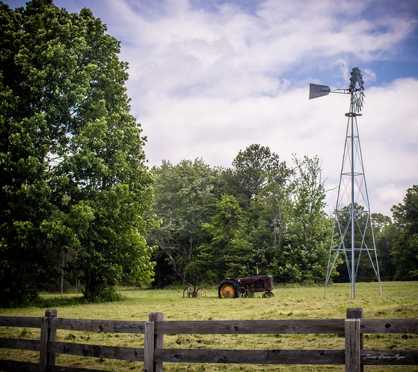 The Tractor by Susan Diann Photography