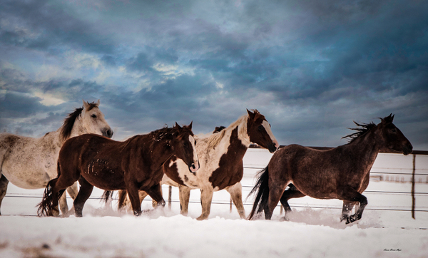 Dashing Through The Snow Print