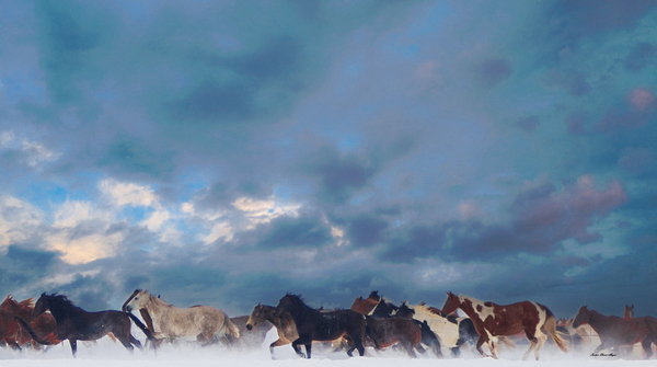 Wild Horse Dream Print