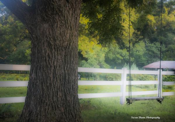 Backyard Swing Print