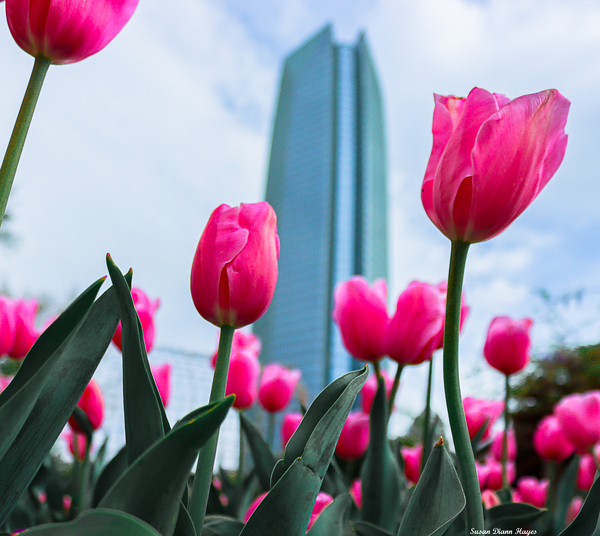 Downtown Spring Time Print