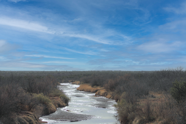 River of Sunshine Print