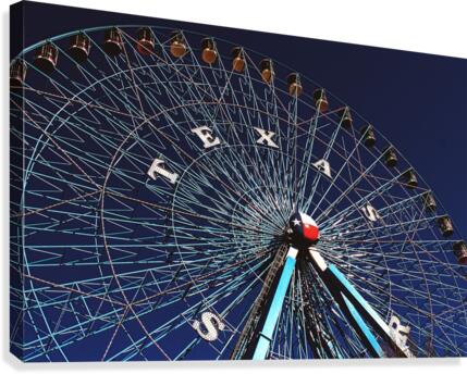 Night Fun Canvas Print