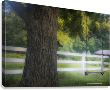 Backyard Swing Canvas Print