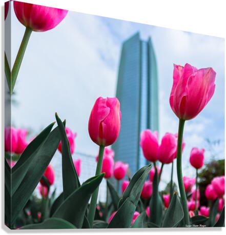 Downtown Spring Time Canvas Print