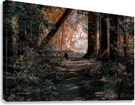Pathway Series-7 The Haunted Forest  Canvas Print