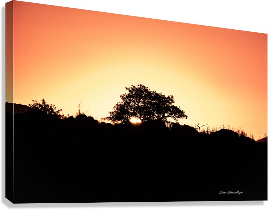 Golden Tree Canvas Print