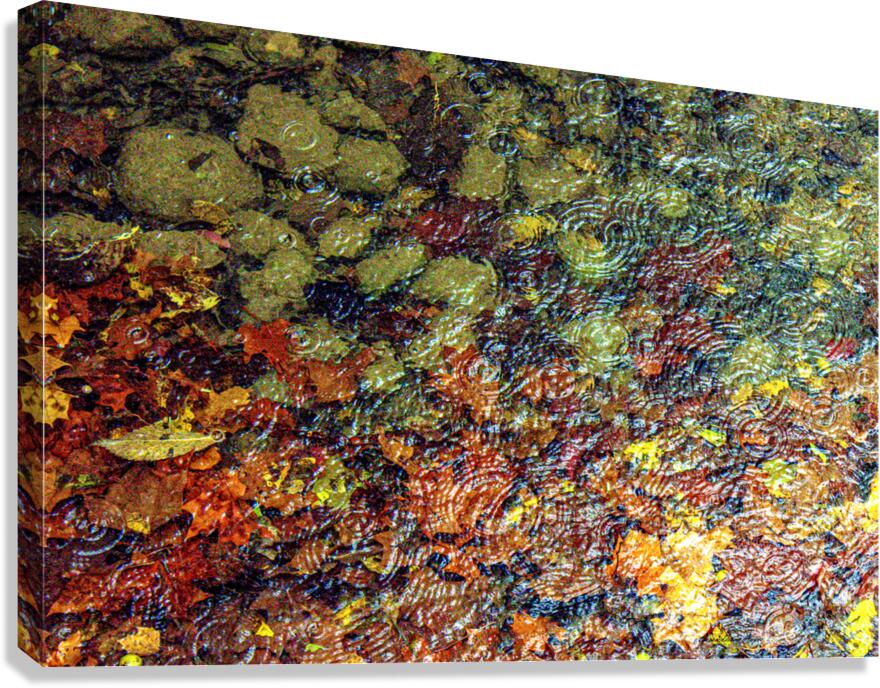 Fall Mosaic Canvas Print