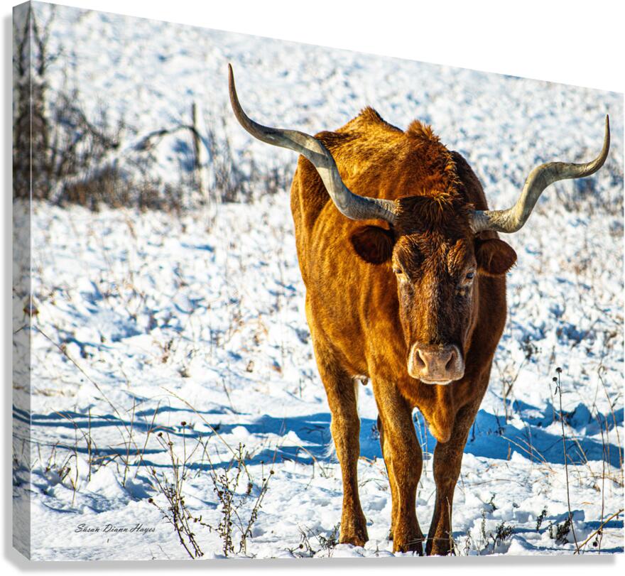 Twisted Sister In the Snow Canvas Print