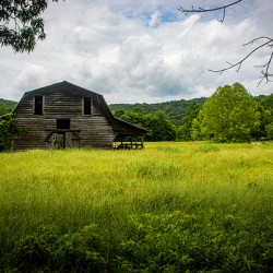 The Barn