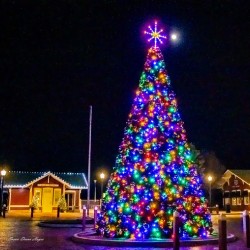 Christmas In The Valley 2-Tree