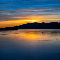 Icy Quannah Parker Lake