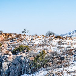 The Orchestrator And His Orchestra