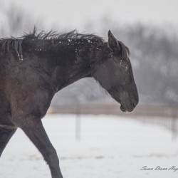 If We Make It Through December