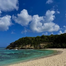 Anse Laborde - Guadeloupe