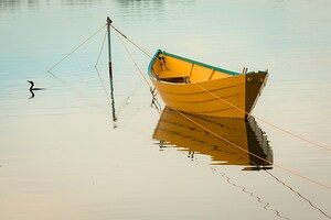 Yellow Boat