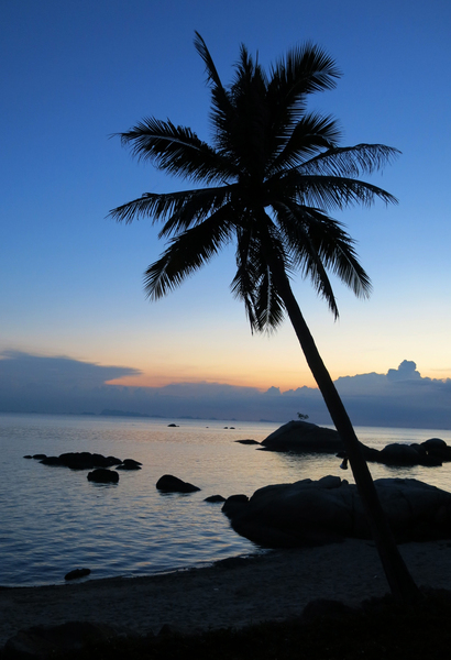 Palm tree sunset in Thailand by Stuart Gunn