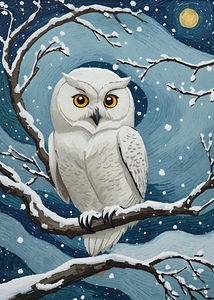 Snow Owl  