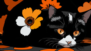 Black and White Cat  2