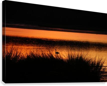 Sunset_Shadow Canvas Print
