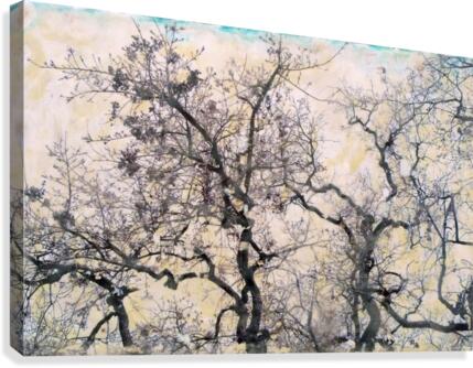 Zeal  Canvas Print