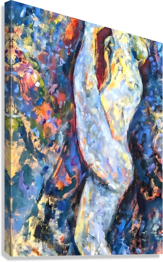 DANCARINA Canvas Print