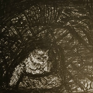 20240802 150856 Cat Condo