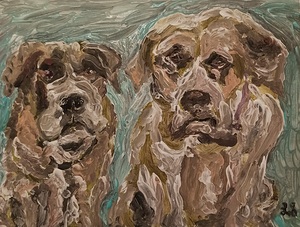 20250208 205529 Grumpy Old Dogs