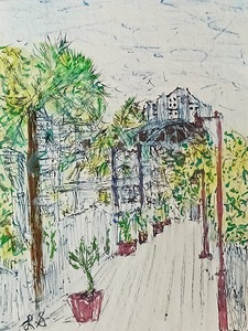 1766340242537 d0c27210 d964 41ca a175 49bab5ad73d Coconut Grove Bayside