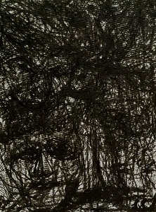 20241119 233236 Forest seeing in the Night