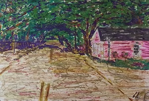 20251209 120438  Canopy Road