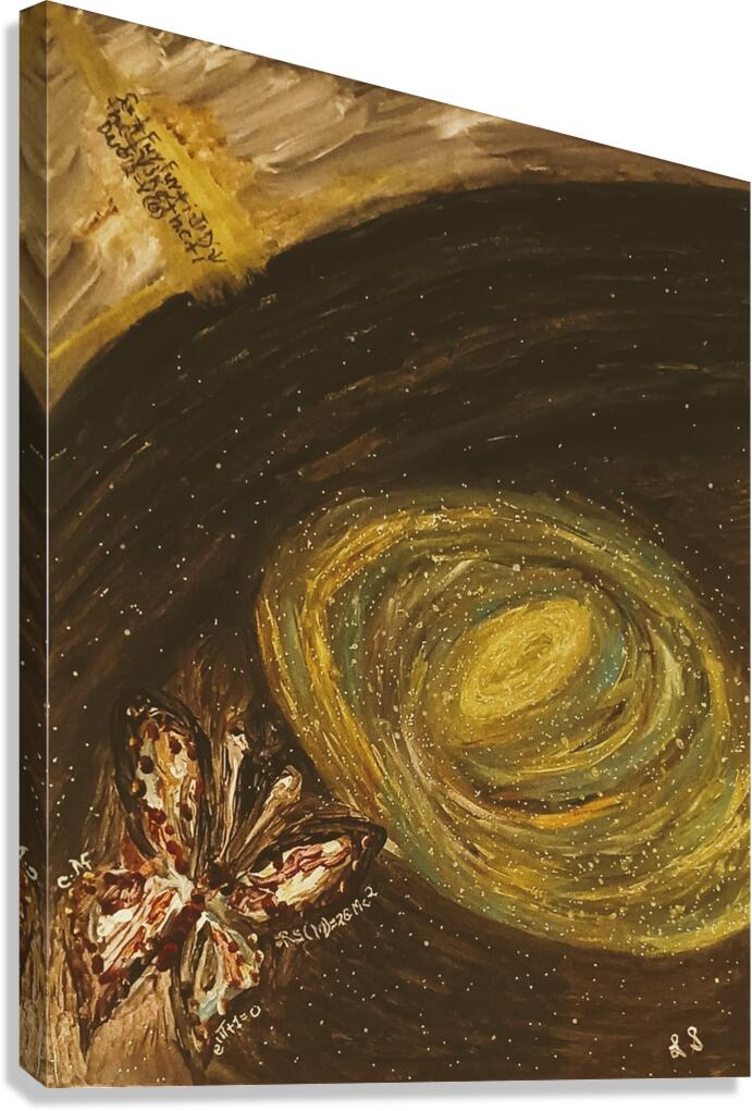 20240312 181327 Butterfly Space Canvas Print