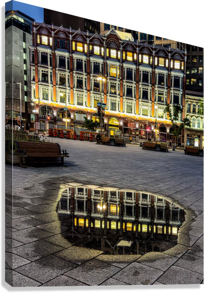 The Puddle Canvas Print